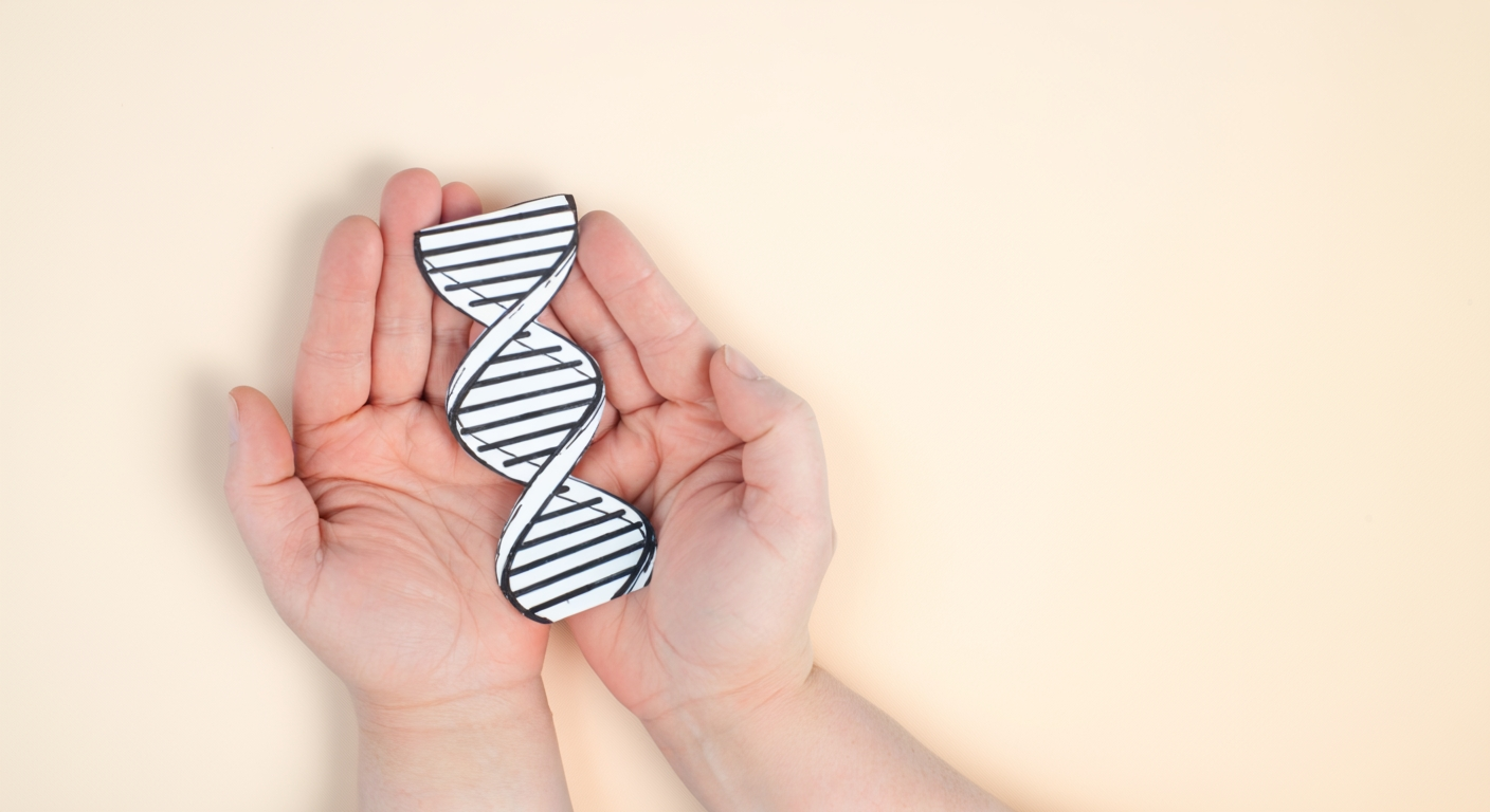 Gezeichnete DNA-Struktur liegt auf Hände
