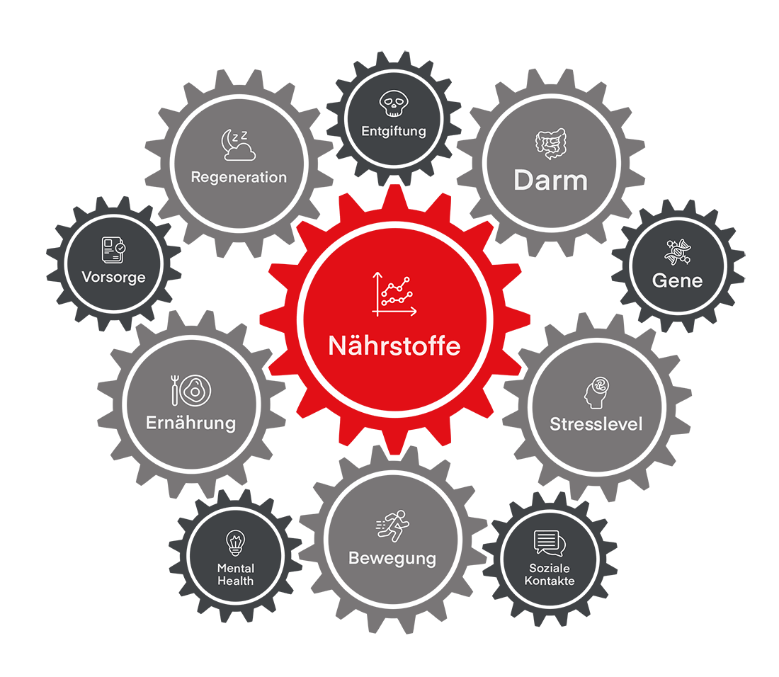 Zahnrad der Gesundheit