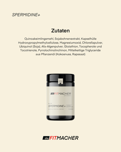 Spermidine+