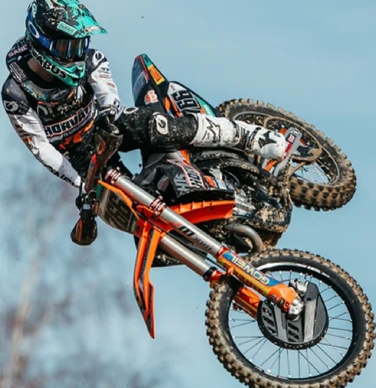 Michael Sandner