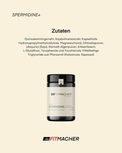 Spermidine+
